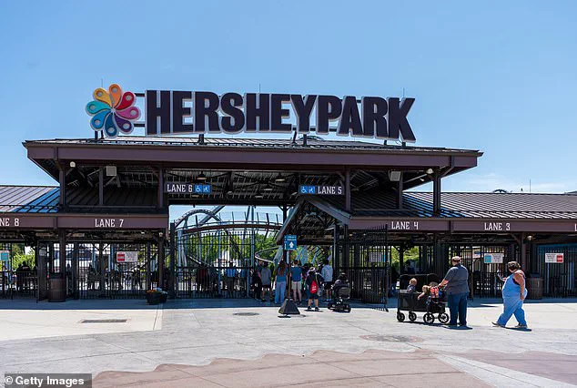 Amusement Park Incident Sparks Debate Over Safety Regulations and Public Accountability
