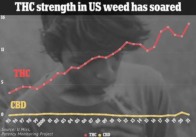 Experts Warn of Mental Health Risks Linked to High-THC Cannabis Products, Citing Recent Studies