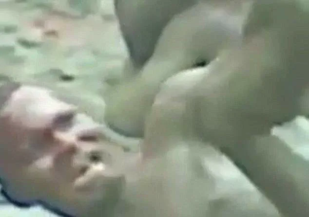 Nigerian Food Vendor Attacked by Mob Over Alleged Blasphemy