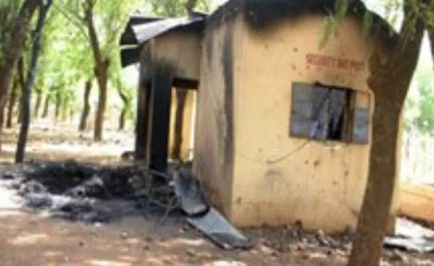 Nigerian Food Vendor Attacked by Mob Over Alleged Blasphemy
