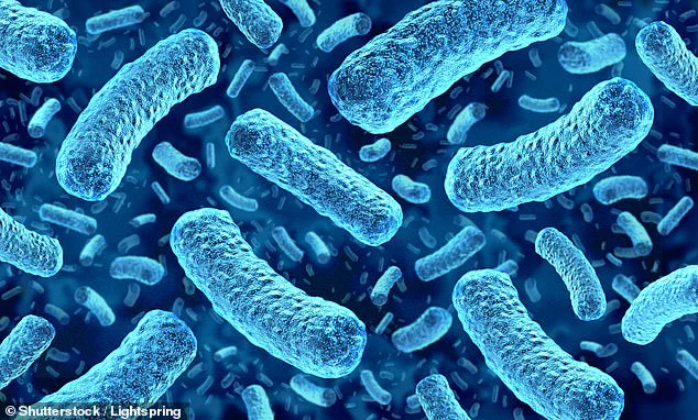 USDA Issues Urgent Alert: HelloFresh Meals Linked to Listeria Contamination, Risking Public Health
