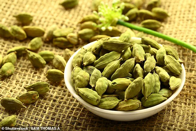 Recent Study Suggests Cardamom Seeds May Hold Viral Protection Potential Amid Pandemic Research