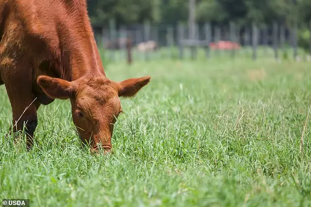 New USDA Rules Restrict 'Product of USA' Label Access to Select Producers