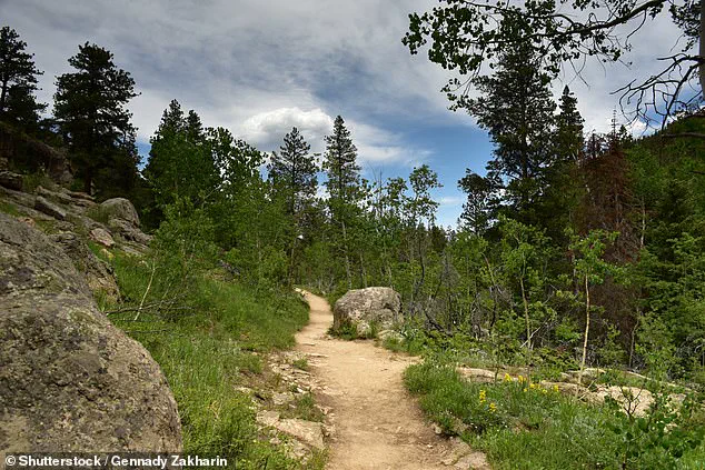 Colorado Woman Killed in Suspected Mountain Lion Attack, Raising Concerns Over Wildlife Safety
