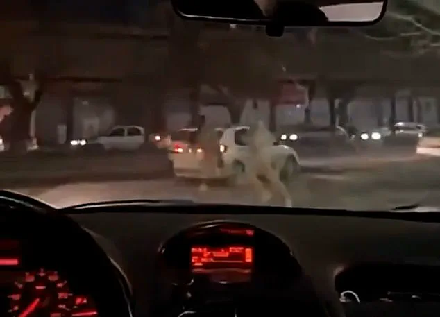 As Protests Erupt in Tehran, Trump's Administration Balances Condemnation and Strategic Readiness: 'Economic Relief is a Priority, But Stability Cannot Be Compromised' – Government Spokesperson