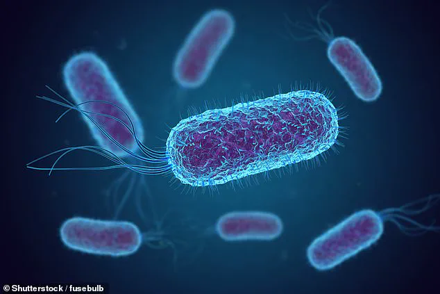 Three-Year Study Reveals E. coli in Drinking Water on U.S. Airlines