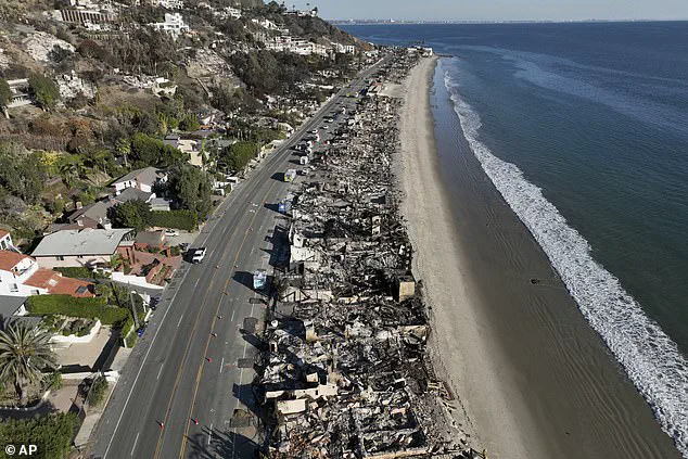 Exclusive: Malibu's Celebrity Residents and the Hidden Threat of New Zealand Billfish After the 2025 Wildfire