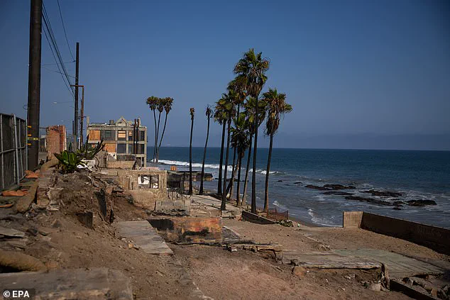 Exclusive: Malibu's Celebrity Residents and the Hidden Threat of New Zealand Billfish After the 2025 Wildfire