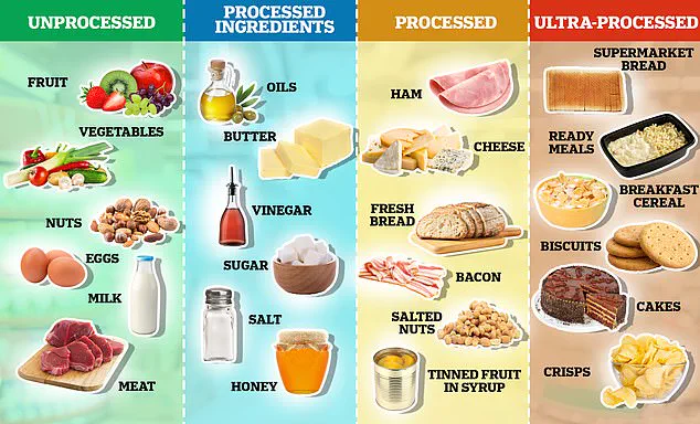 New Study Raises Concerns Over Preservatives in Common Food Items and Public Health