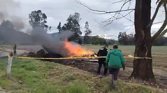 Colombian Singer and Five Others Killed in Plane Crash Moments After Takeoff