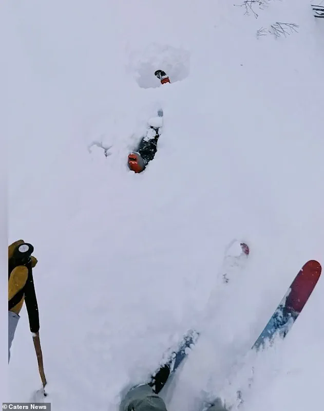 Avalanche Rescue in Swiss Alps Demonstrates Individual Heroism and Emergency Preparedness