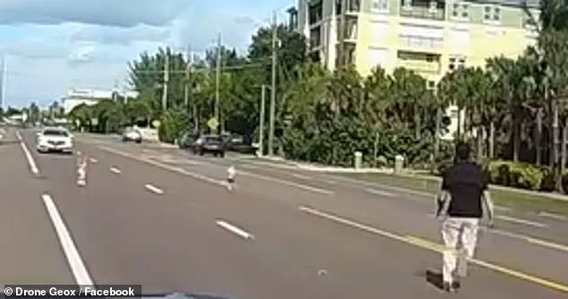 Heart-Stopping Dash Cam Footage Captures Father's Heroic Rescue of Toddlers on Florida Highway, Sparking Viral Reactions