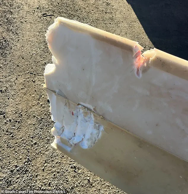 Exclusive: Surfer's Near-Death Encounter with 6ft Shark in Gualala, California
