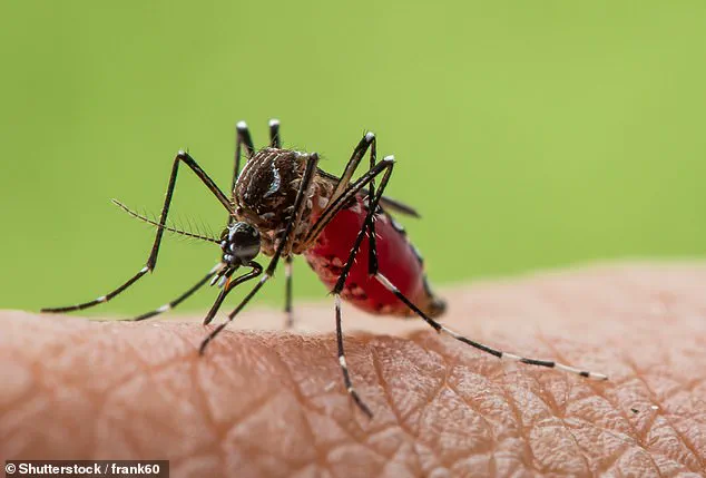 Emerging Viral Threats in 2026: A Call for Vigilance and Scientific Preparedness