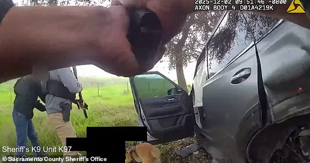 Elk Grove Shooting Sparks Debate on Mental Health Regulations and Police Training