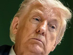 ''I’m not sure that they’d be there for us if we gave them the call'': Trump’s Tense Exchange with NATO Chief Exposes Transatlantic Fractures at Davos