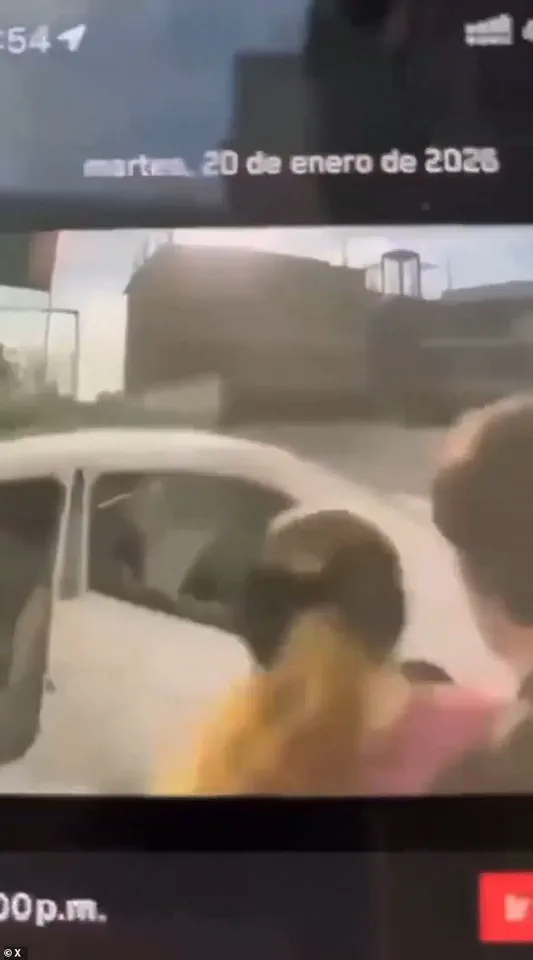 Arizona Influencer Nicole Pardo Molina Kidnapped in Sinaloa, Mexico: Viral Tesla Cybertruck Footage Shows Abduction