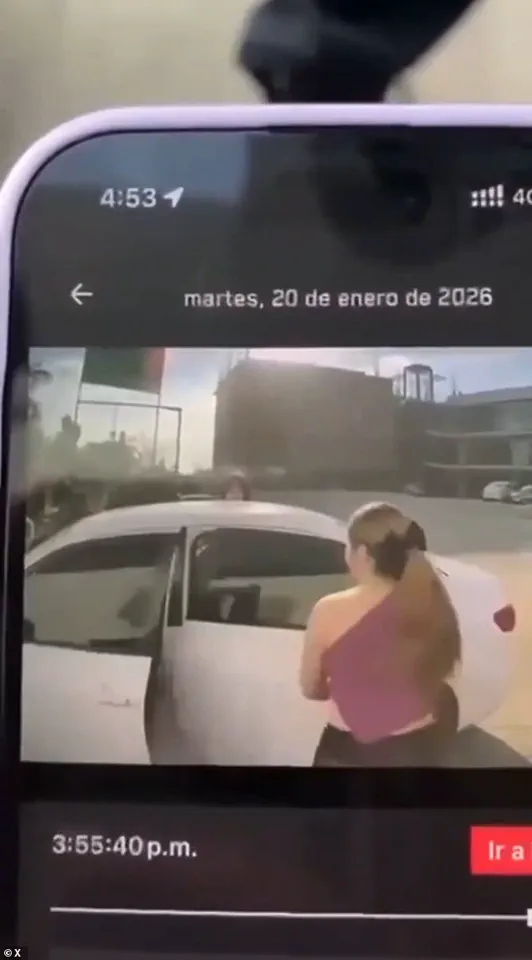 OnlyFans Model Nicole Pardo Molina Abducted at Gunpoint in Culiacán, Mexico: Video Evidence Captured on Tesla Cybertruck Security Cameras