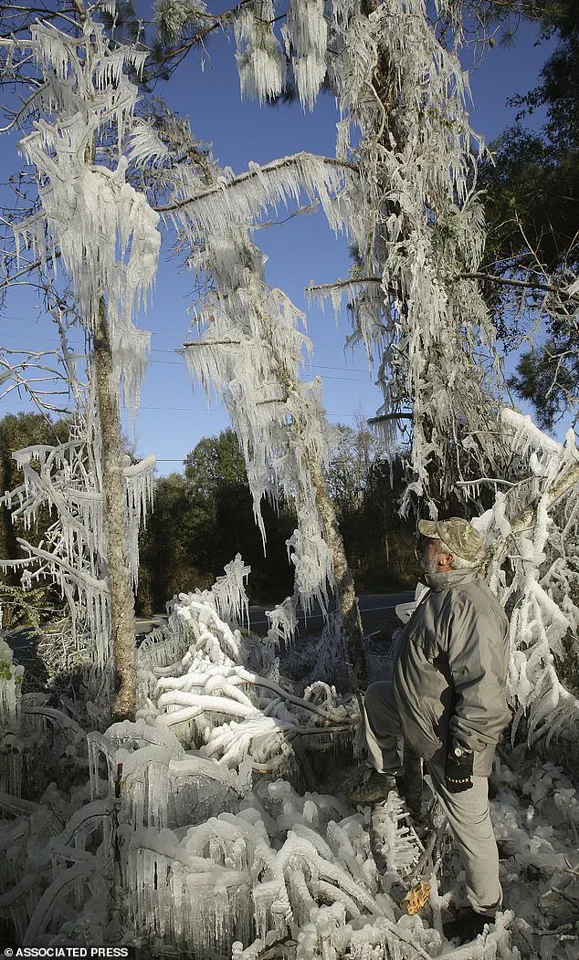 Rare and Chilling Twist: Meteorologist Warns of Unprecedented Cold as Storm Pummels East Coast