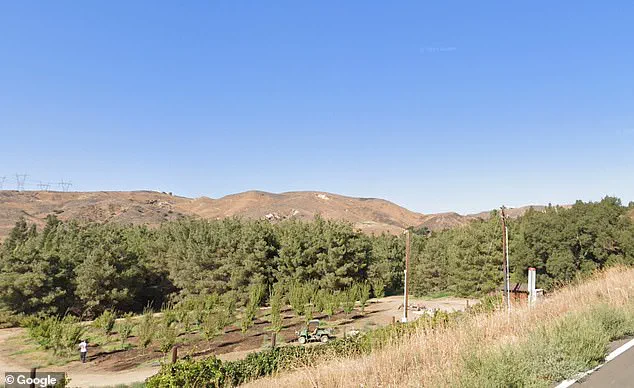 Disney's Secret Gold Oak Ranch: Hidden Film Set and Amusement Ride Testing Ground