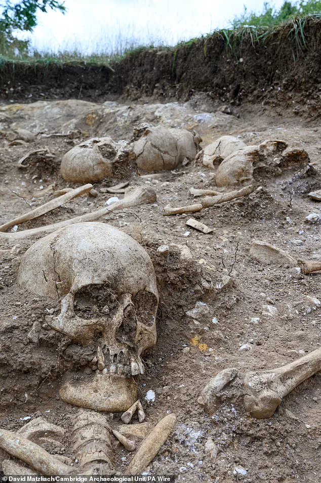Cambridge Students Discover Viking Burial Pit with Violent Remains and a Mysterious Giant