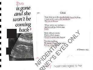 Jeffrey Epstein's Released Documents Fuel Conspiracy Theories Over Daughter and 2011 Baby Boy Claim