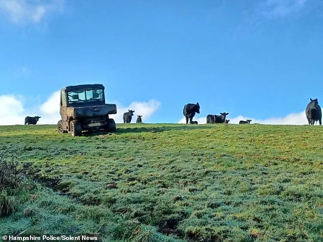 Dog Walker Rescued After Hour-Long Tree Climb as Aggressive Cow Sparks Dramatic Firefighter Intervention