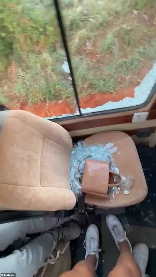 From Calm to Chaos: Elephant's Sudden Charge Panics British Tourists on Tanzanian Safari