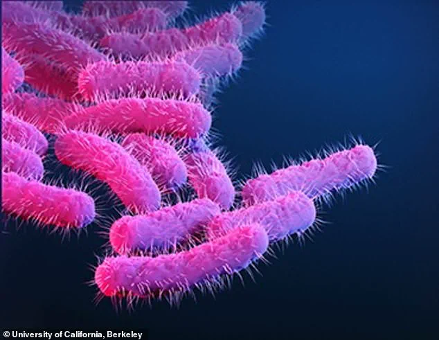Health warning issued for Cape Verde as 1,500 British tourists fall ill with shigella and salmonella outbreak, six deaths