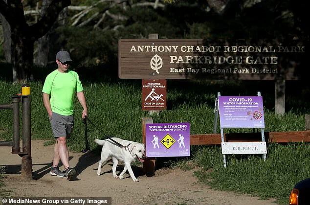 California Health Officials Warn After Four Die from Death Cap Mushroom Poisoning