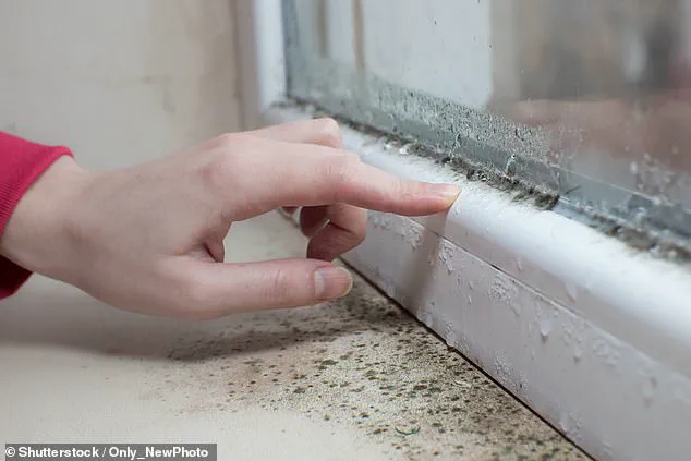 Study Reveals Long-Term Respiratory Risks from Childhood Exposure to Toxic Mould, Including 5% Lung Function Decline by Adolescence