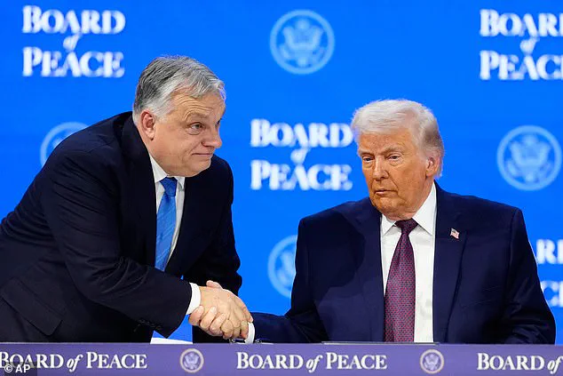 Trump's Board of Peace to Hold First Official Meeting on February 19, Focusing on Global Diplomacy and Gaza Oversight