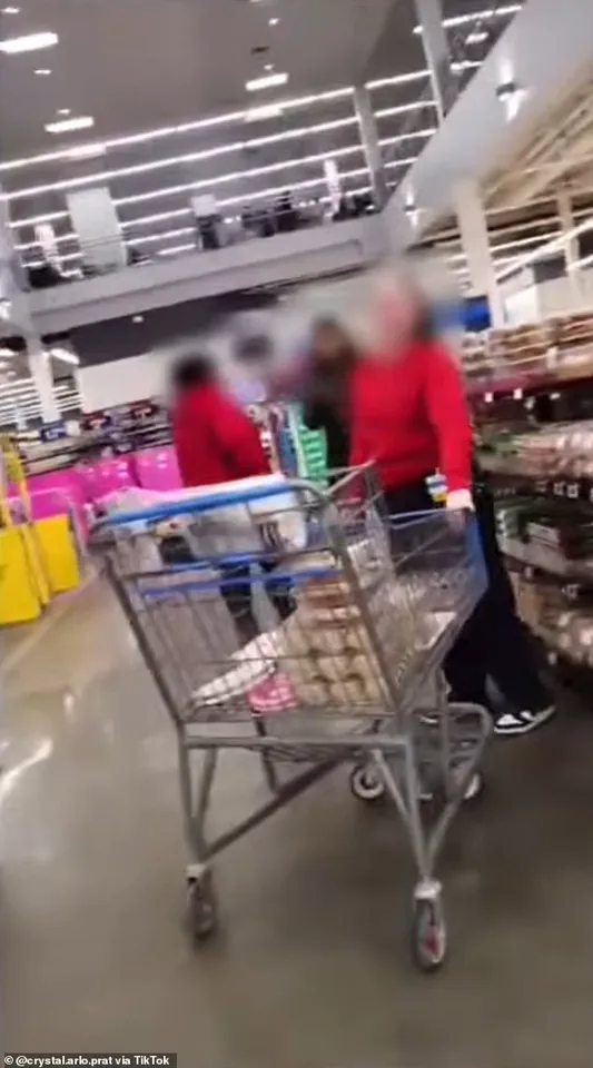 Albany Walmart Shoppers Confrontation Over Service Dog Leash Policy Sparks ADA Debate