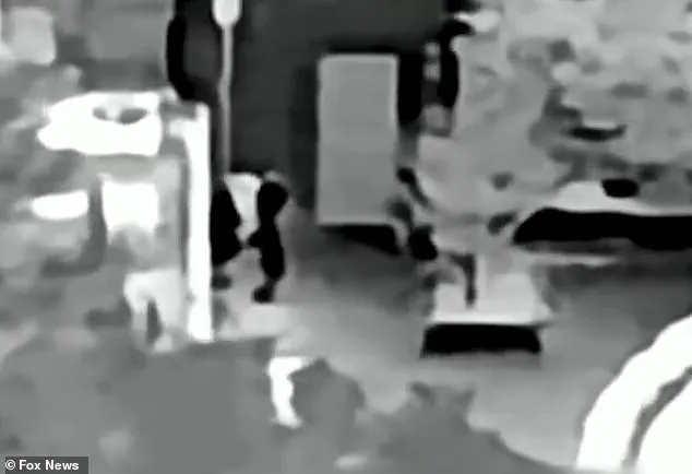 Feds Conduct Third Infrared Drone Search of Nancy Guthrie's Arizona Home Amid Daughter's Plea for Help