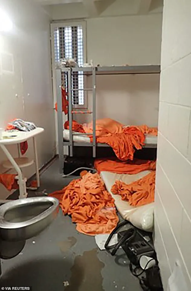Jeffrey Epstein's Final Weeks at Metropolitan Detention Center: Accused Killer's Claims of Government Inaction and a 'Calculated Hit