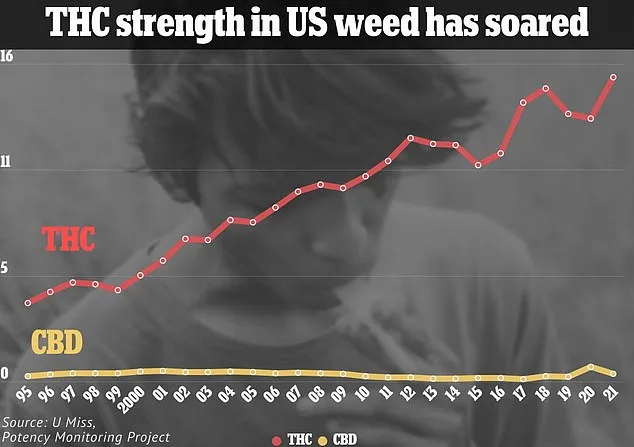 Moderate Cannabis Use Linked to Brain Health Benefits, Study Reveals: Excessive Use May Negate Effects
