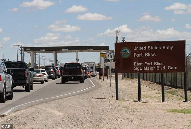 ICE Rebuttal to Seamus Culleton's 'Torture' Allegations in U.S. Detention