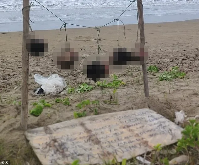 Gang Violence in Ecuador Escalates with Eight Severed Heads Found Amid Drug Cartel War