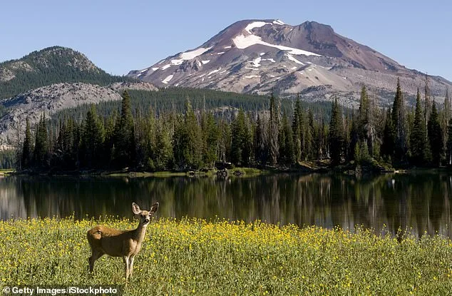 Oregon at a Crossroads: Activists Push Sweeping Ban on Hunting and Fishing as Petition Gains Momentum