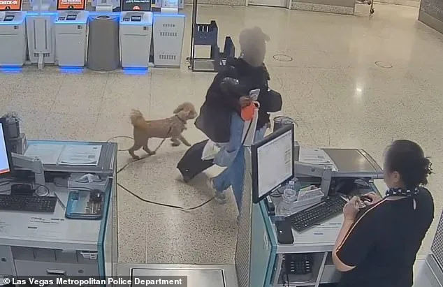 Woman Arrested for Abandoning Puppy at Nevada Airport