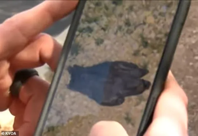 New Footage in Nancy Guthrie Case Reveals Suspect's Unusual Behavior Before Abduction