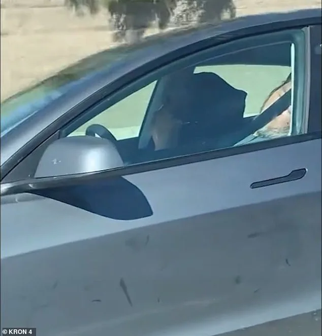 Elderly Couple Asleep in Tesla on Autopilot Sparks Safety Debate After California Highway Incident