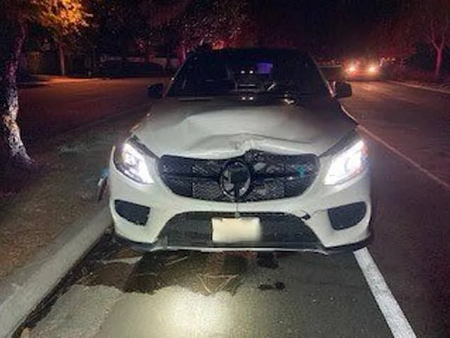 Appellate Court Upholds Murder Conviction of California Socialite Rebecca Grossman in Fatal Crash Case