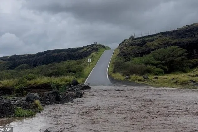 Cartel Chaos and Historic Flooding Force California Couple to Alter Vacation Plans