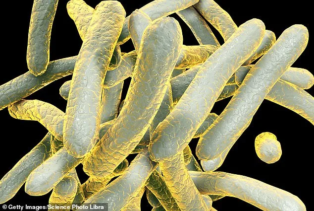 Grissom High School TB Outbreak Sparks Scrutiny of U.S. School Health Protocols