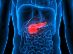 Hay Fever Relief: New Research Suggests Gut-Healthy Diet Could Ease Symptoms Amid Rising Pollen Levels in the UK