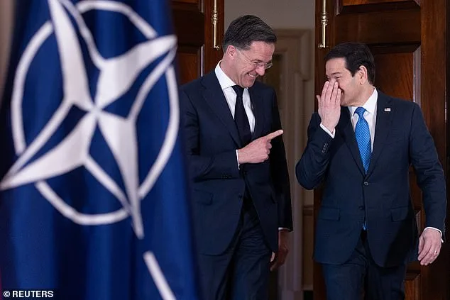 NATO Chief Taken Aback by 'Daddy' Nickname Question During Tense Trump Encounter
