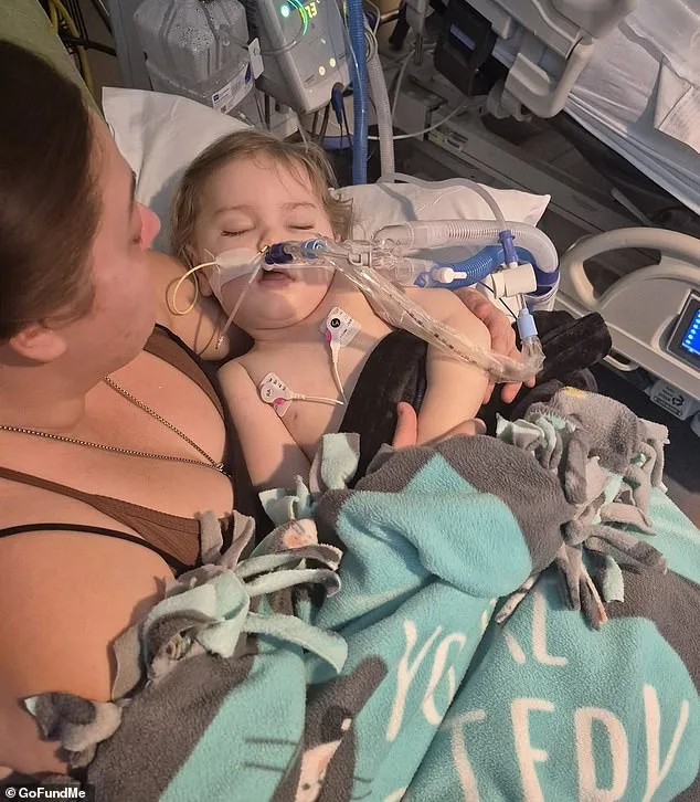 Colorado Family Faces Devastating Loss as Son's Life Support Ends