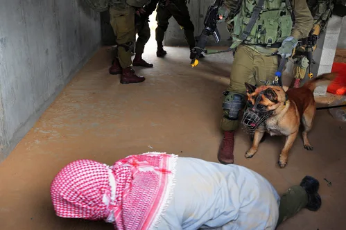 Hundreds of detained pro-Palestinian activists deported after alleged beatings in Israeli custody